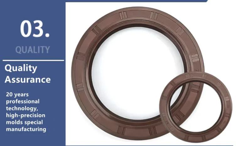 Cog Hydraulic Mechanical Rod & Piston Rubber Oil Seals with/Without Spring Tc/Sc