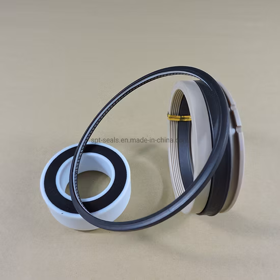 海洋で使用される SS304 PTFE カスタマイズされたスプリング付勢シール